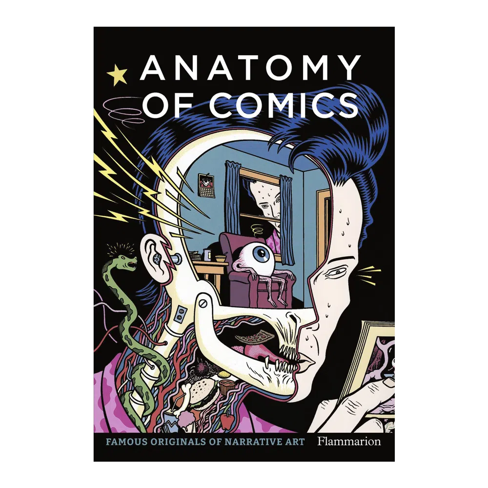 Anatomy of Comics