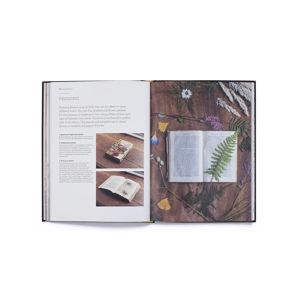 Cut & Dry: The Modern Guide to Dried Flowers from Growing to Styling