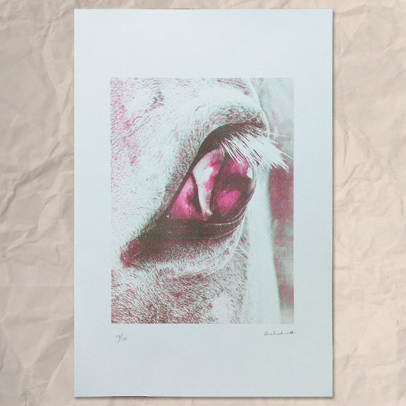 Hebah Alhamwi Horse Eye (Signed & Numbered)