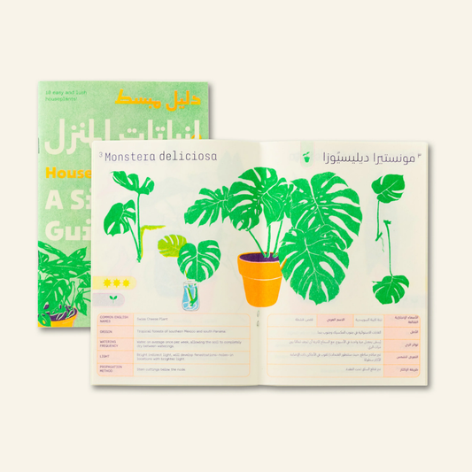 House Plants: A Simple Guide