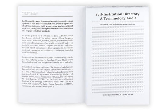Self-Institution/ Terminology Audit: A Terminology Audit of Self-Instituted Practice