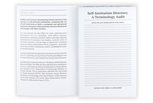 Self-Institution/ Terminology Audit: A Terminology Audit of Self-Instituted Practice