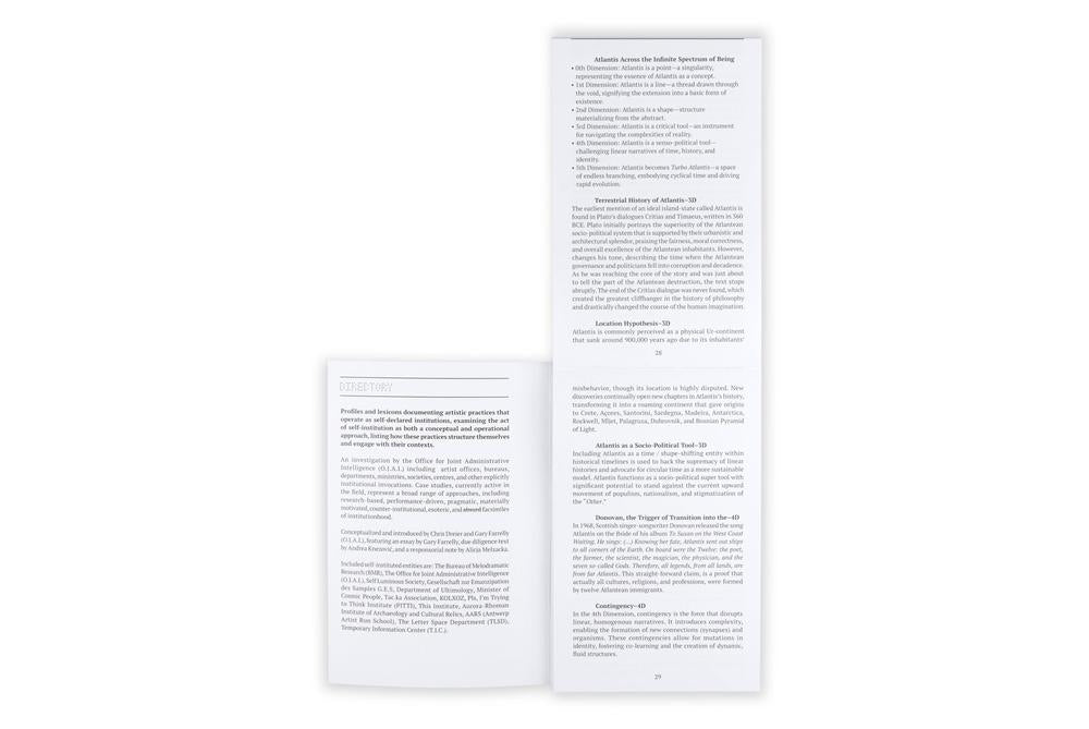 Self-Institution/ Terminology Audit: A Terminology Audit of Self-Instituted Practice