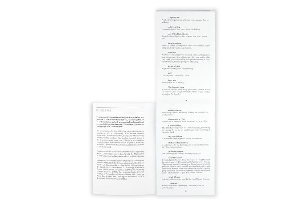 Self-Institution/ Terminology Audit: A Terminology Audit of Self-Instituted Practice