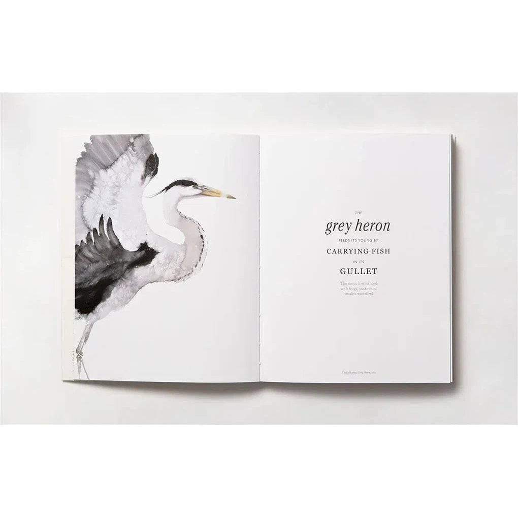 The Book of the Bird
