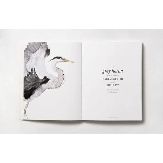 The Book of the Bird