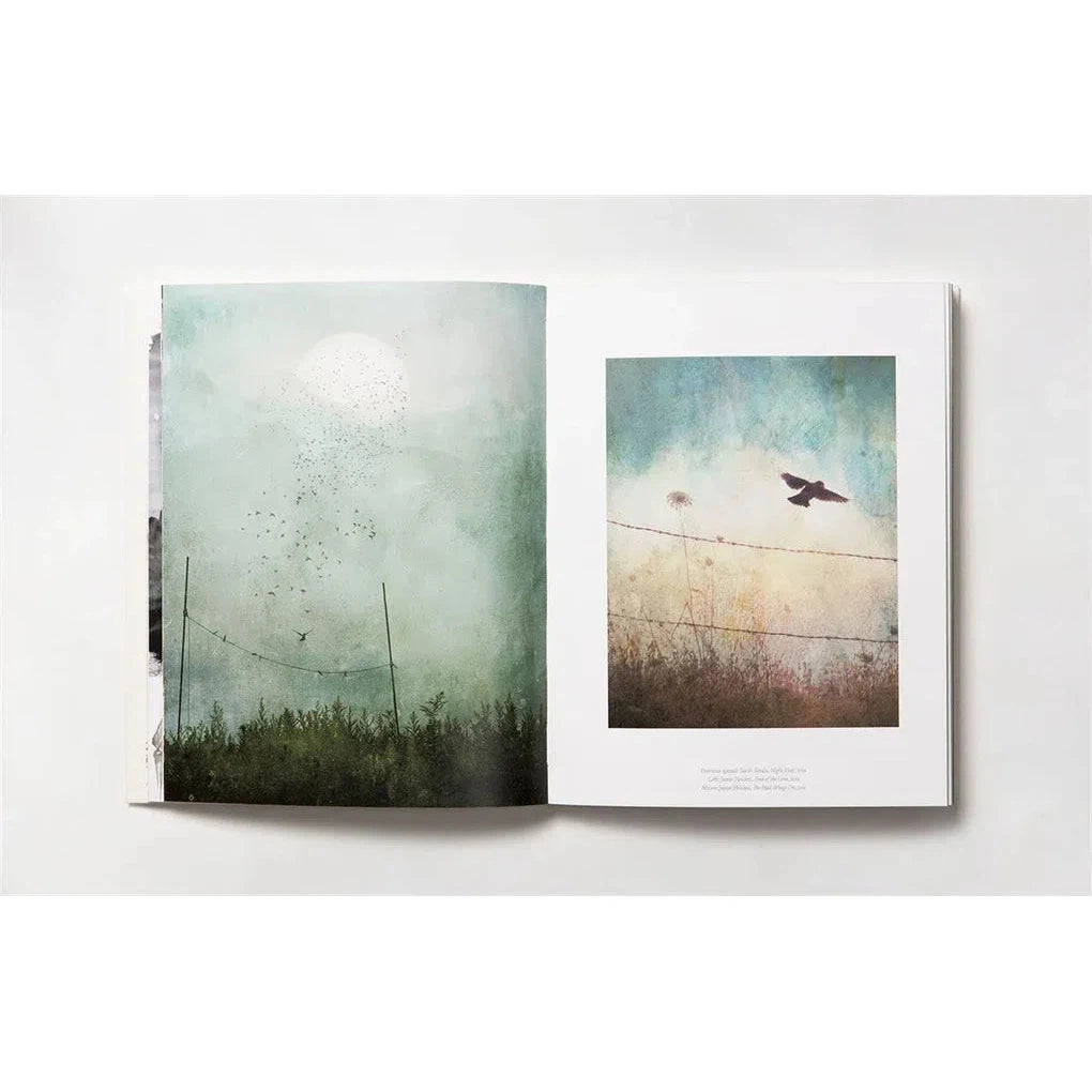 The Book of the Bird
