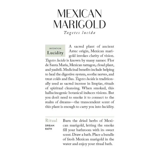 The Botanicals Deck: 70 Plants and Flowers to Enhance Your Life―Plus Herbal Recipes and Rituals