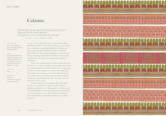 The Grammar of Spice: Blend, Infuse, Restore