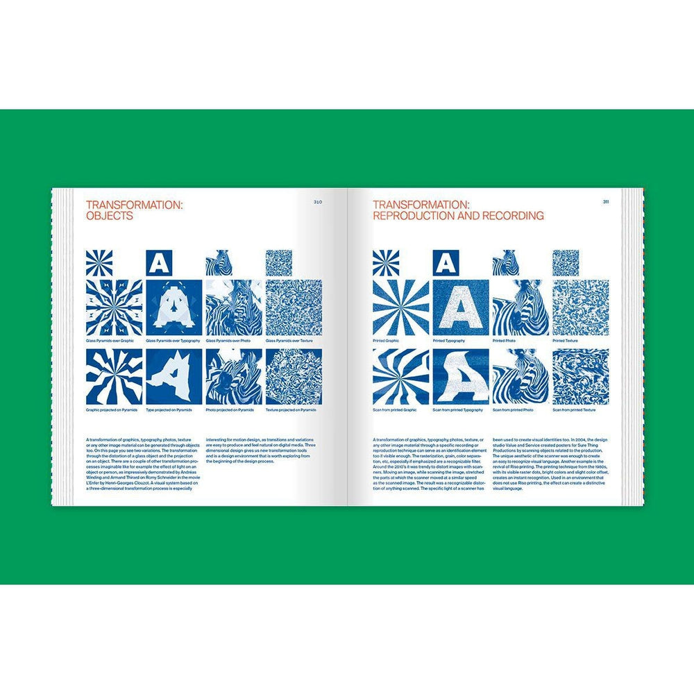 Flexible Visual Systems