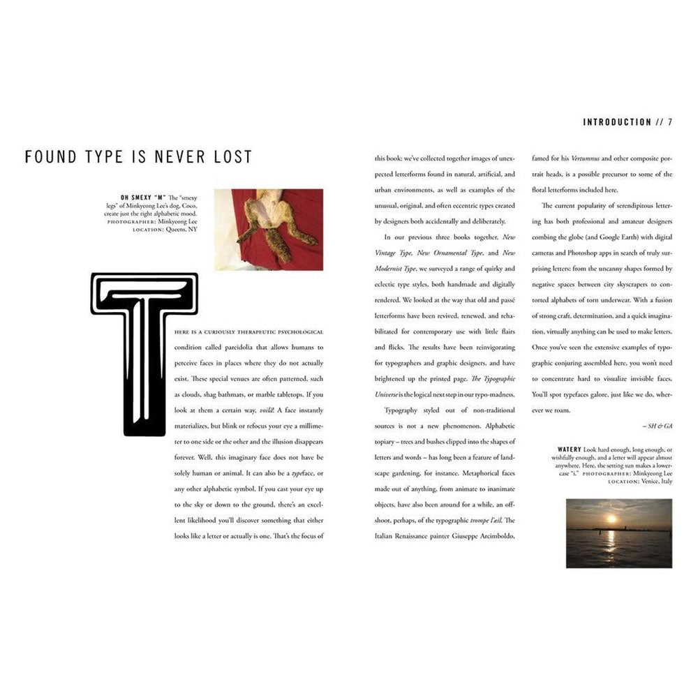 The Typographic Universe