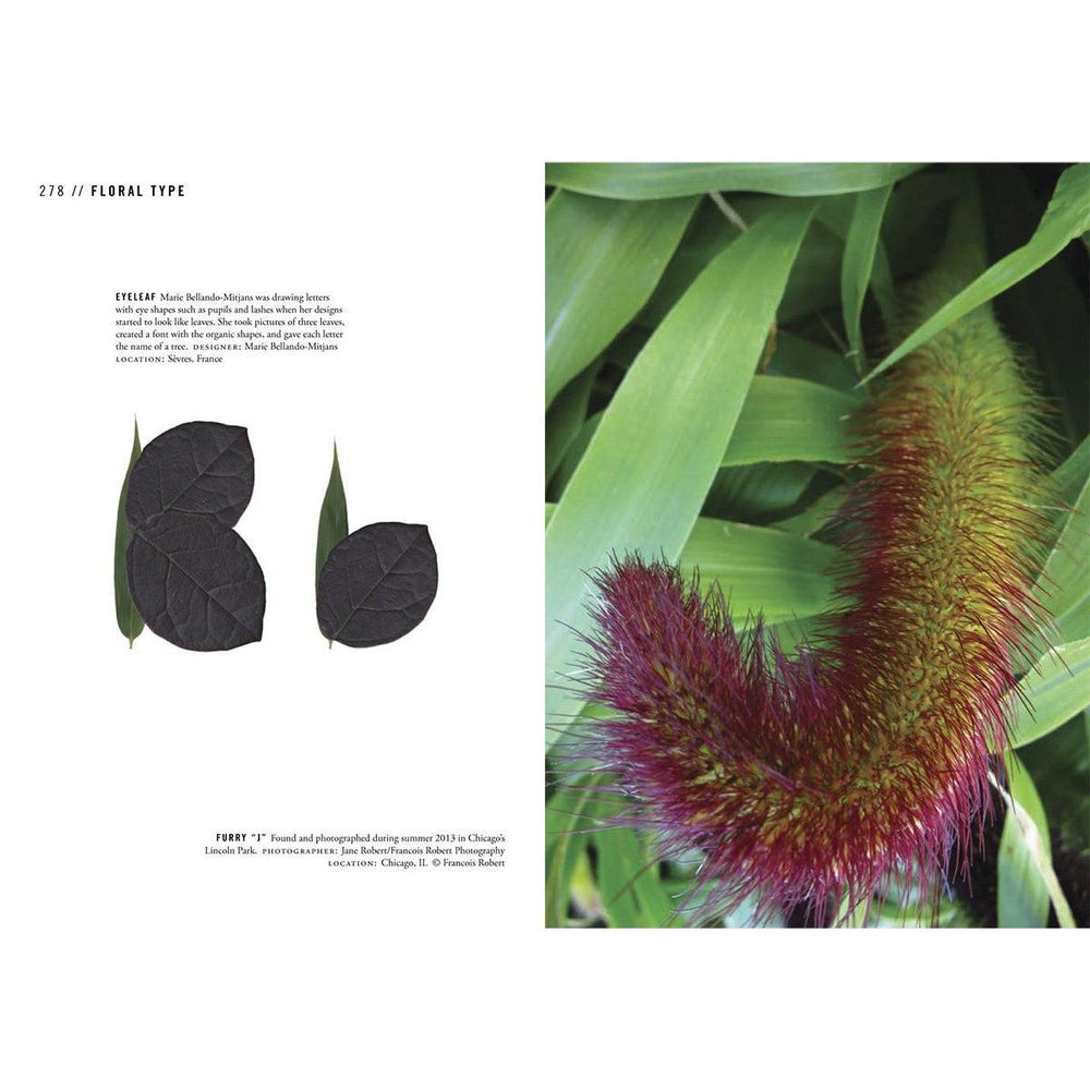 The Typographic Universe