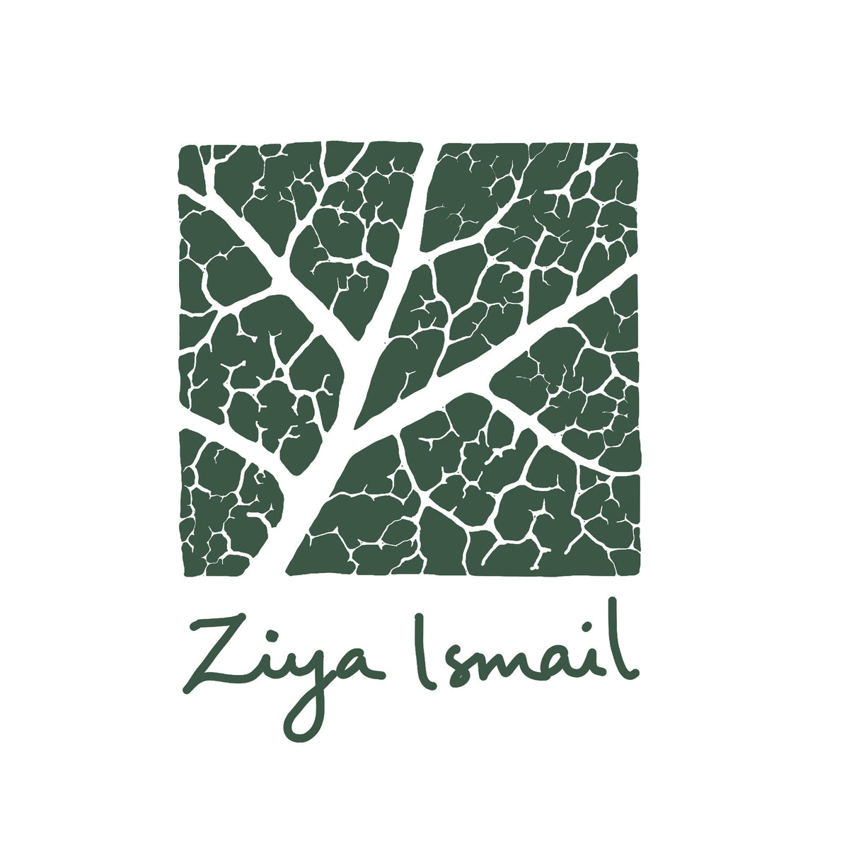 Ziya Ismail