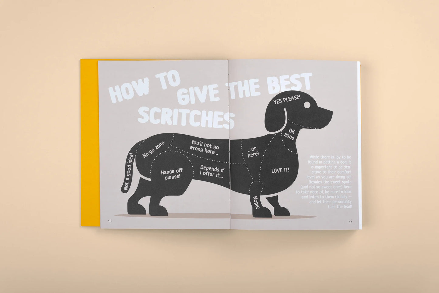 Good Dogs: Canine Companions in Art and Illustration