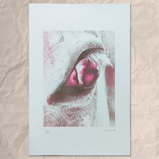 Hebah Alhamwi Horse Eye (Signed & Numbered)