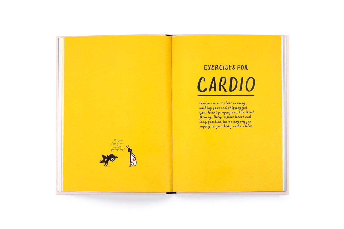 How to Be a Fit Bird
