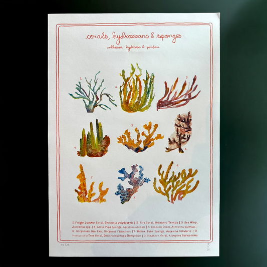 corals riso print