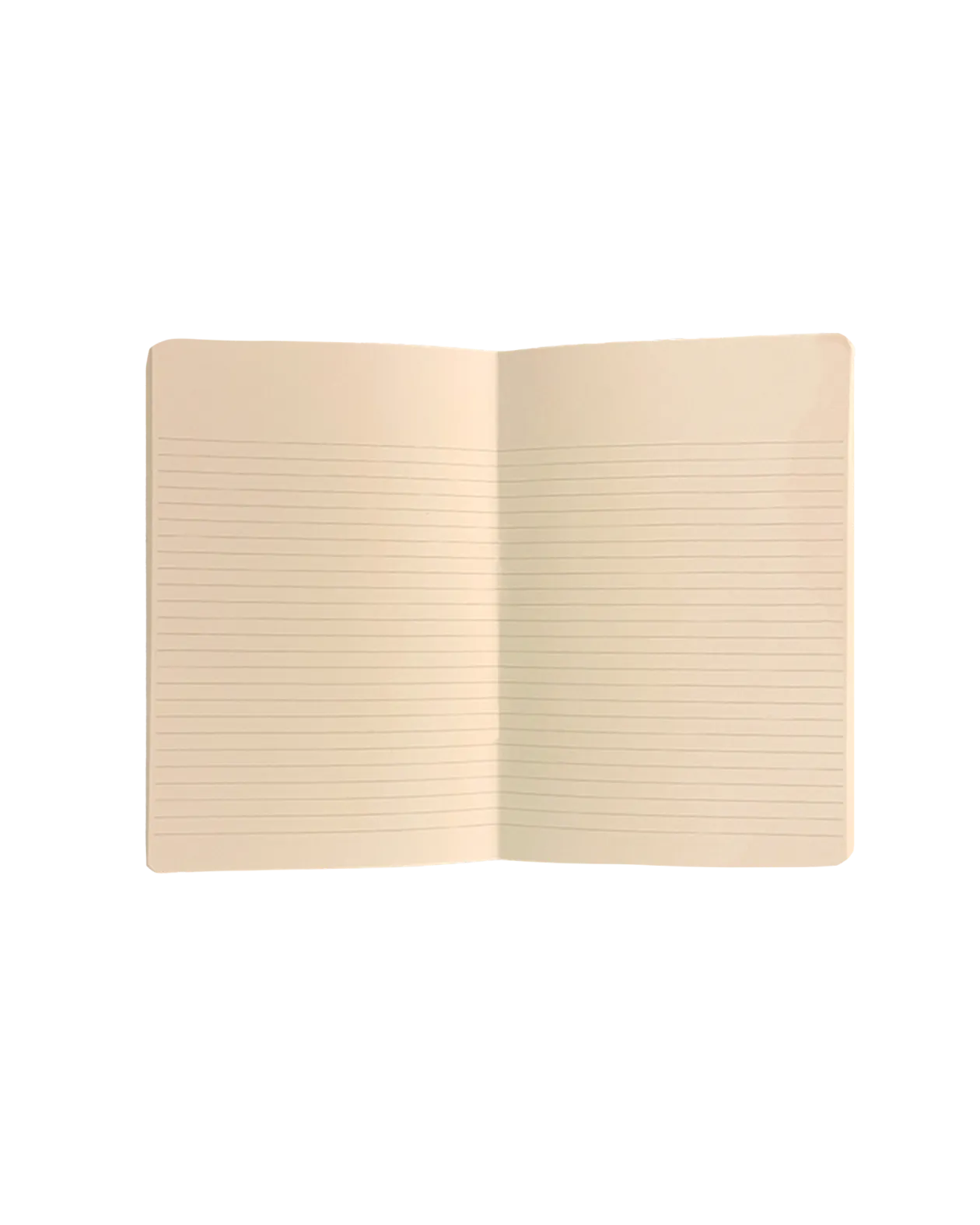 Palms Notebook