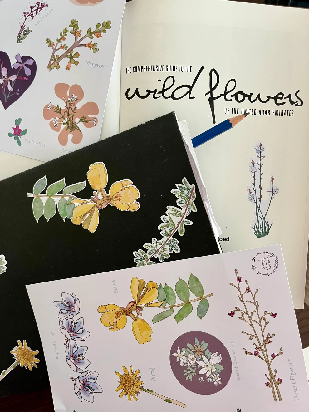 Plants of the Arabian Gulf - Stickers