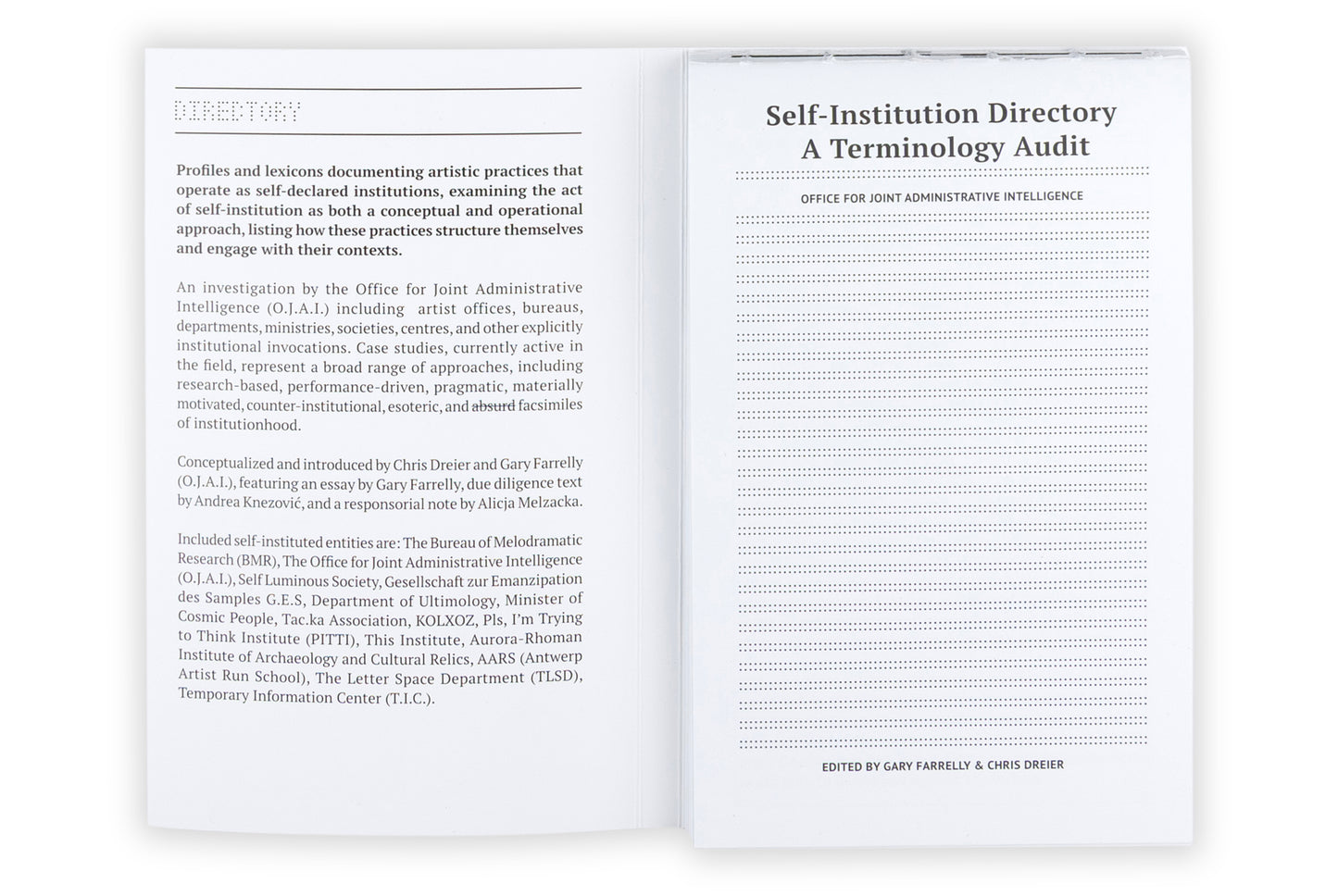 Self-Institution/ Terminology Audit: A Terminology Audit of Self-Instituted Practice