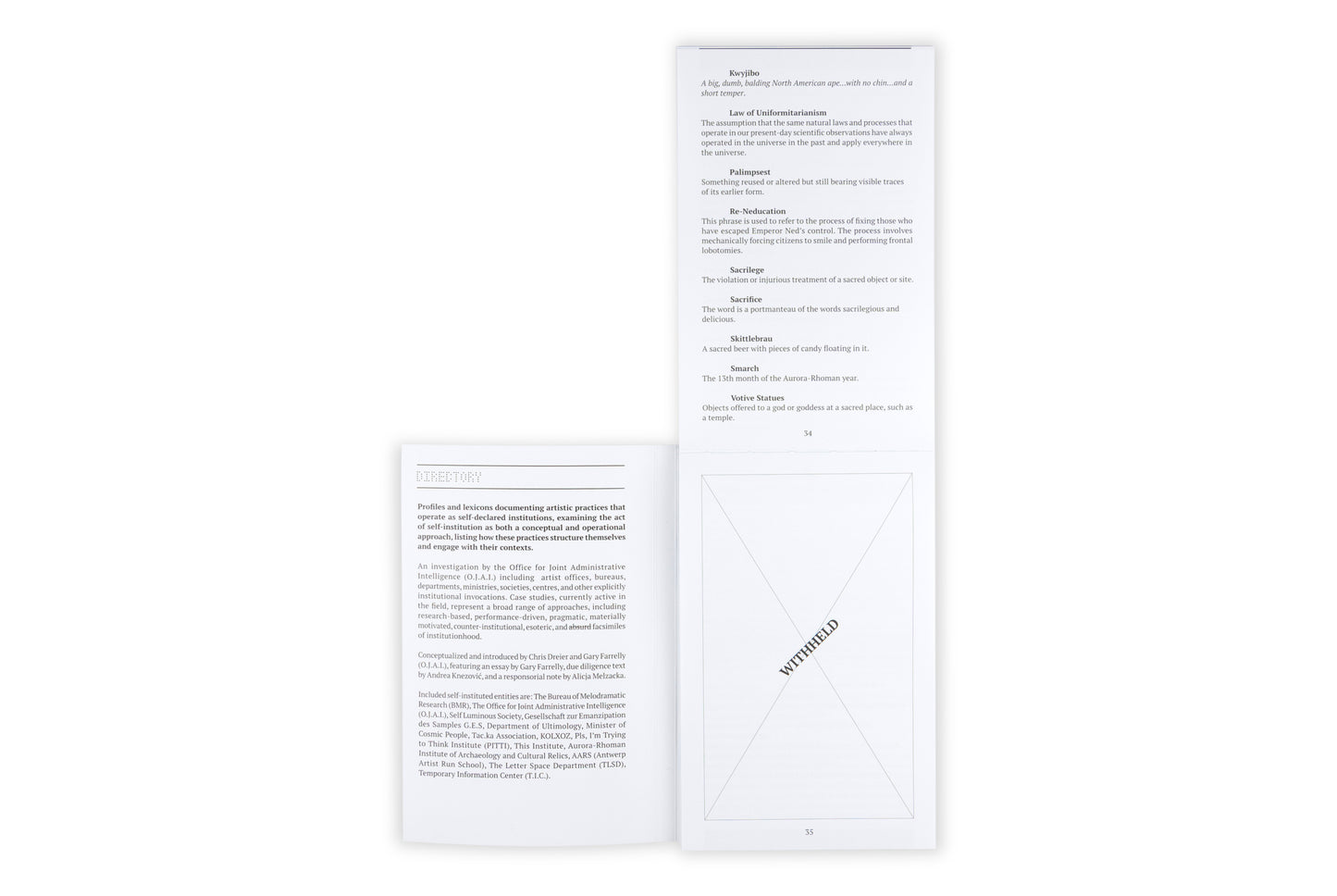 Self-Institution/ Terminology Audit: A Terminology Audit of Self-Instituted Practice