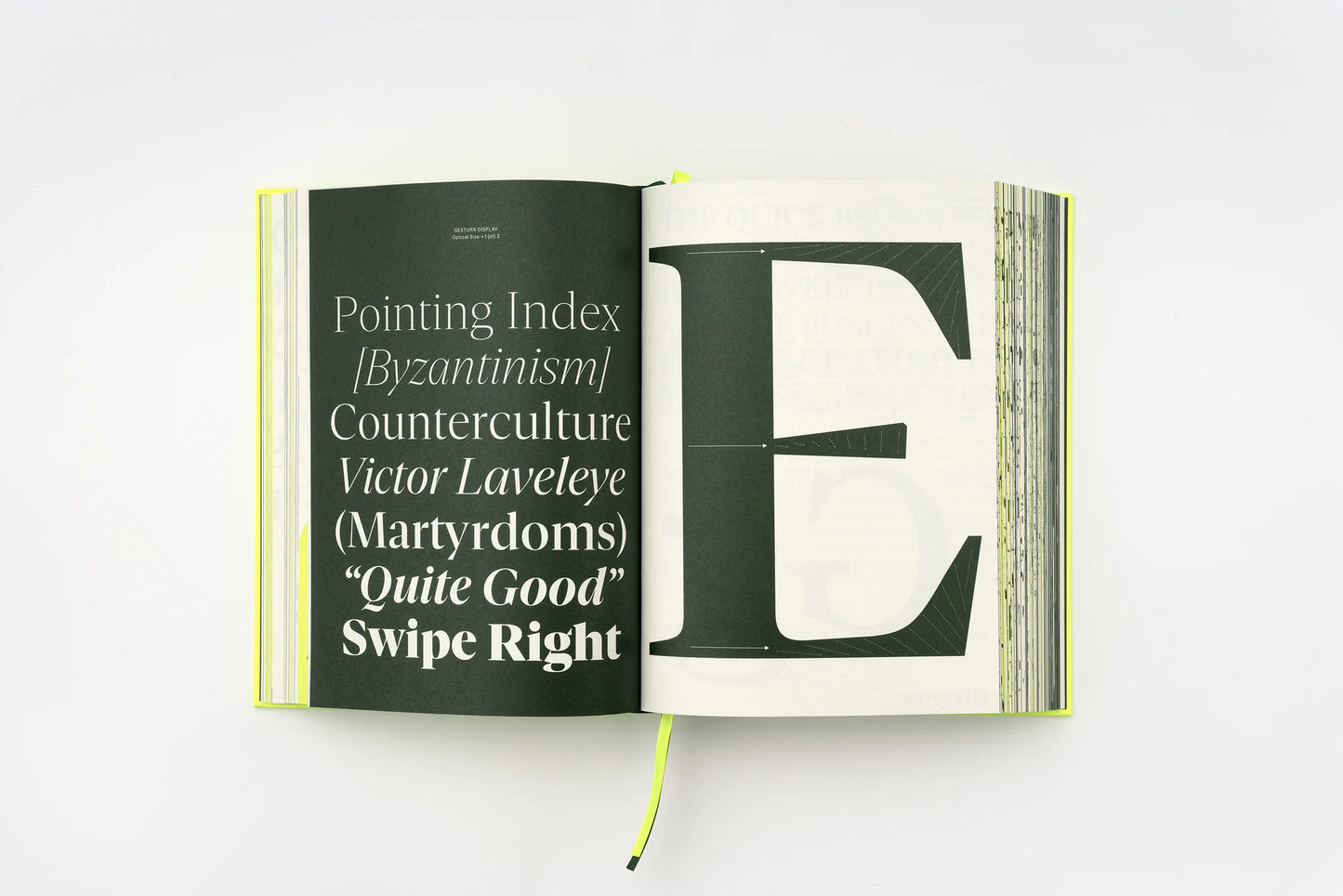 Serif in Use: Creative Typefaces and their Applications