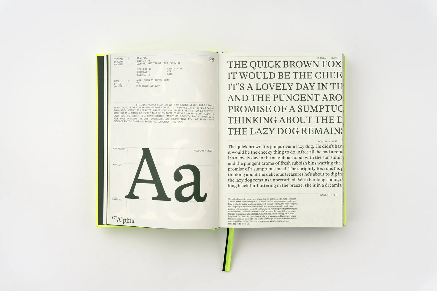 Serif in Use: Creative Typefaces and their Applications