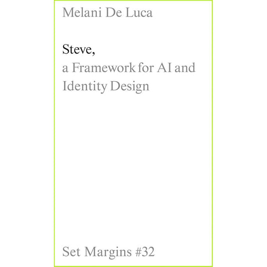 Steve: A Framework for AI and Identity Design cover image