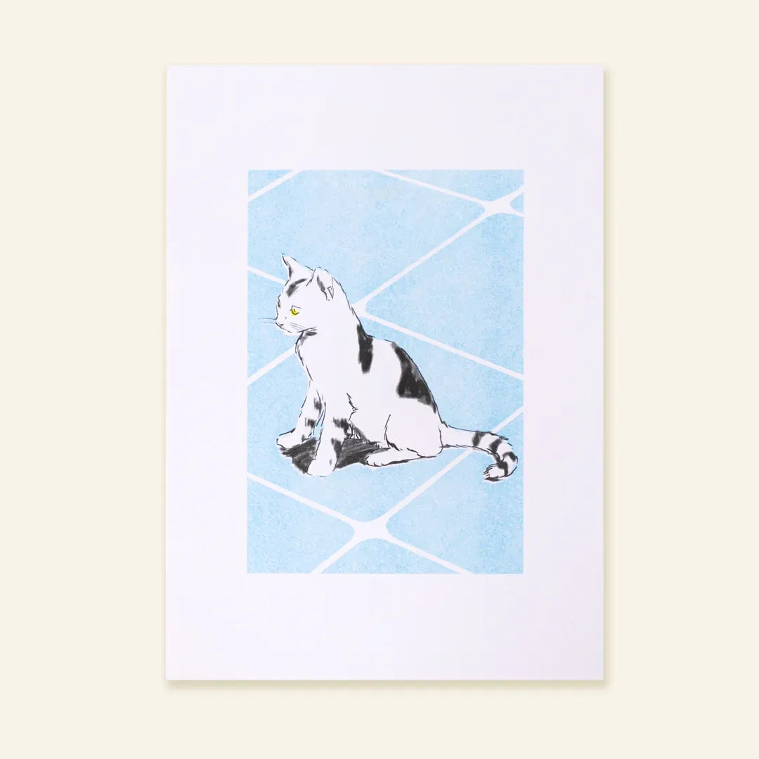 Street Cat