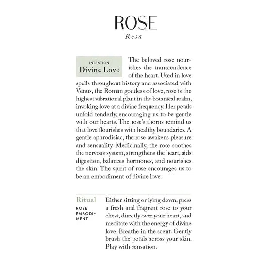 The Botanicals Deck: 70 Plants and Flowers to Enhance Your Life―Plus Herbal Recipes and Rituals