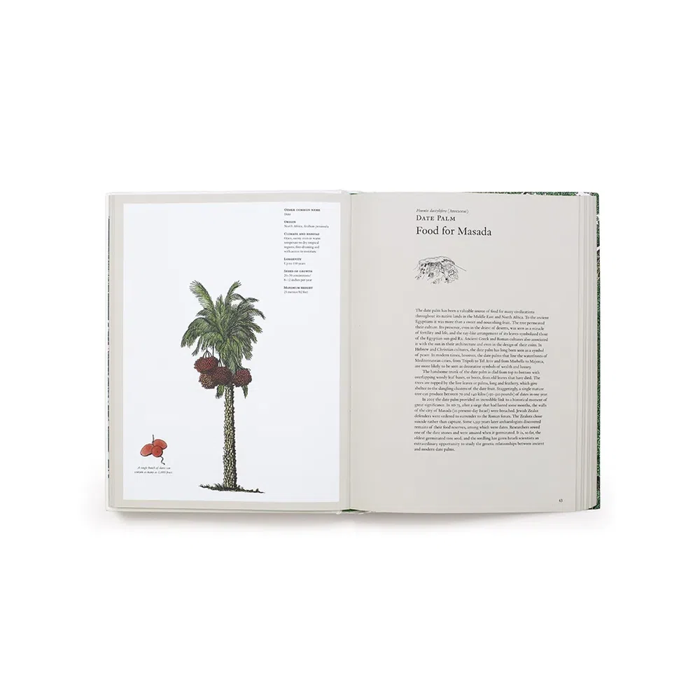 The Story of Trees