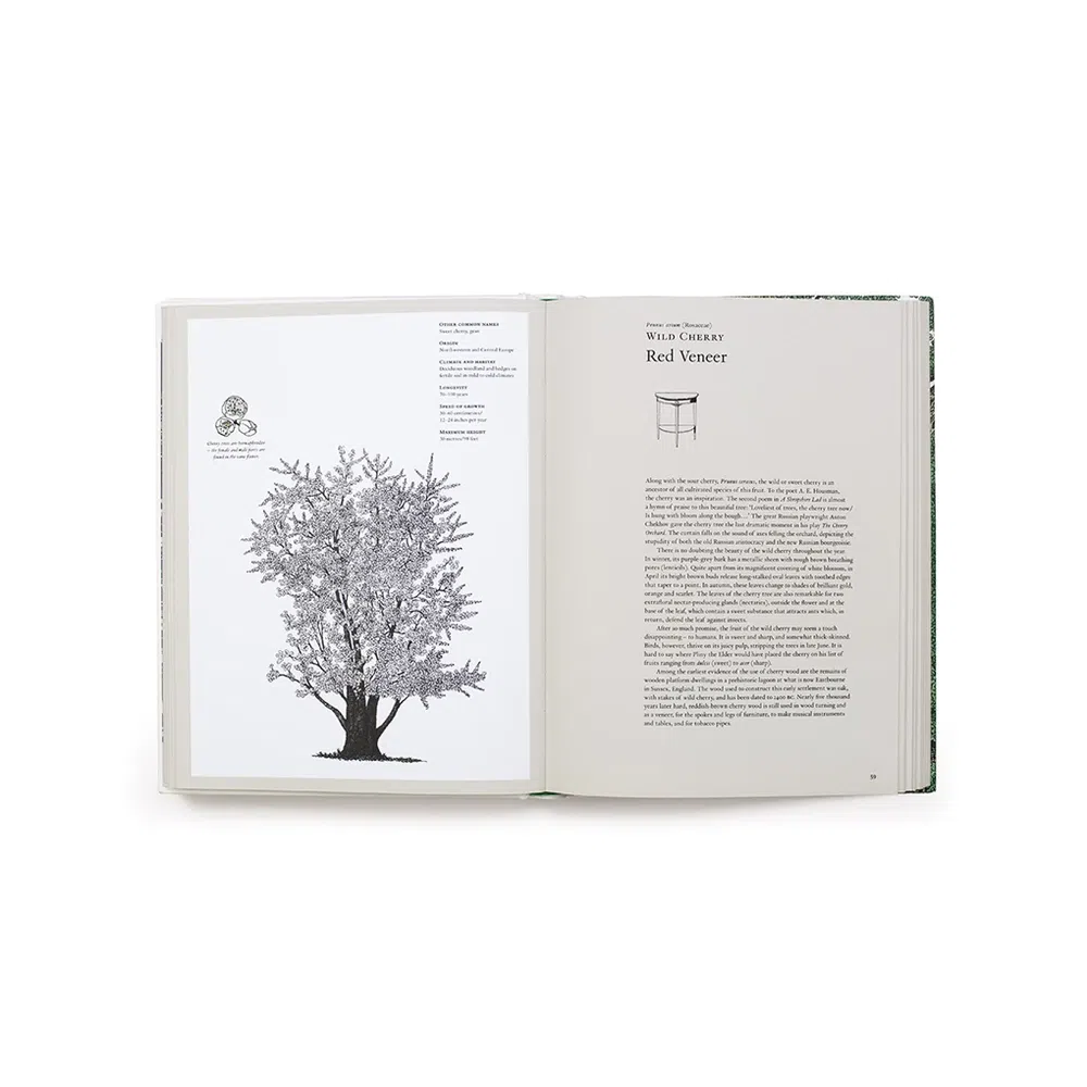 The Story of Trees