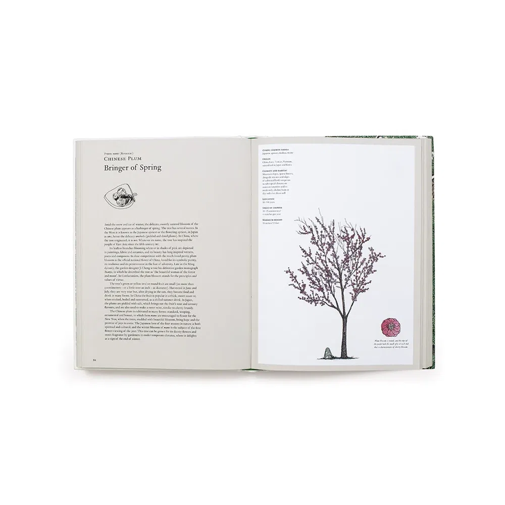 The Story of Trees