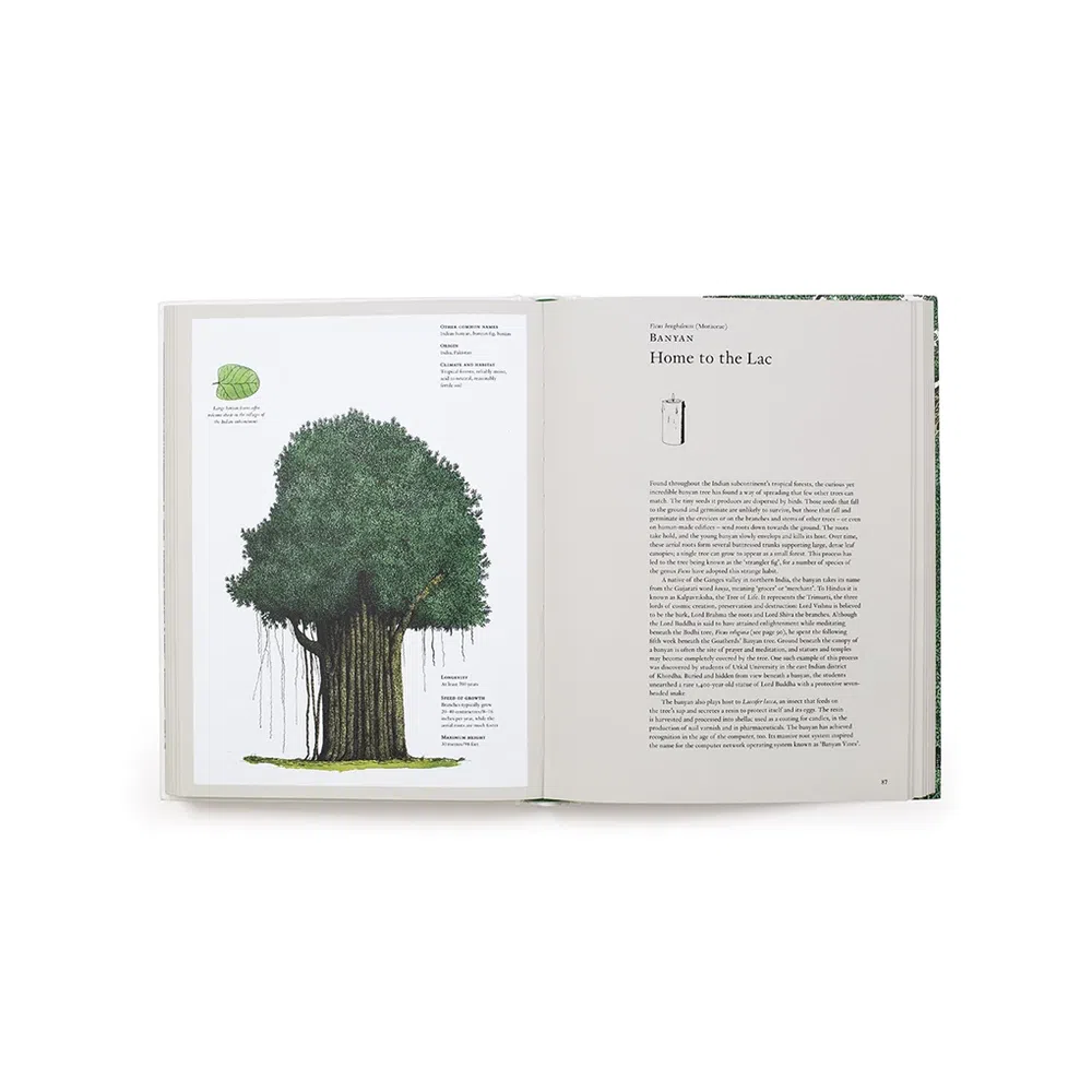 The Story of Trees