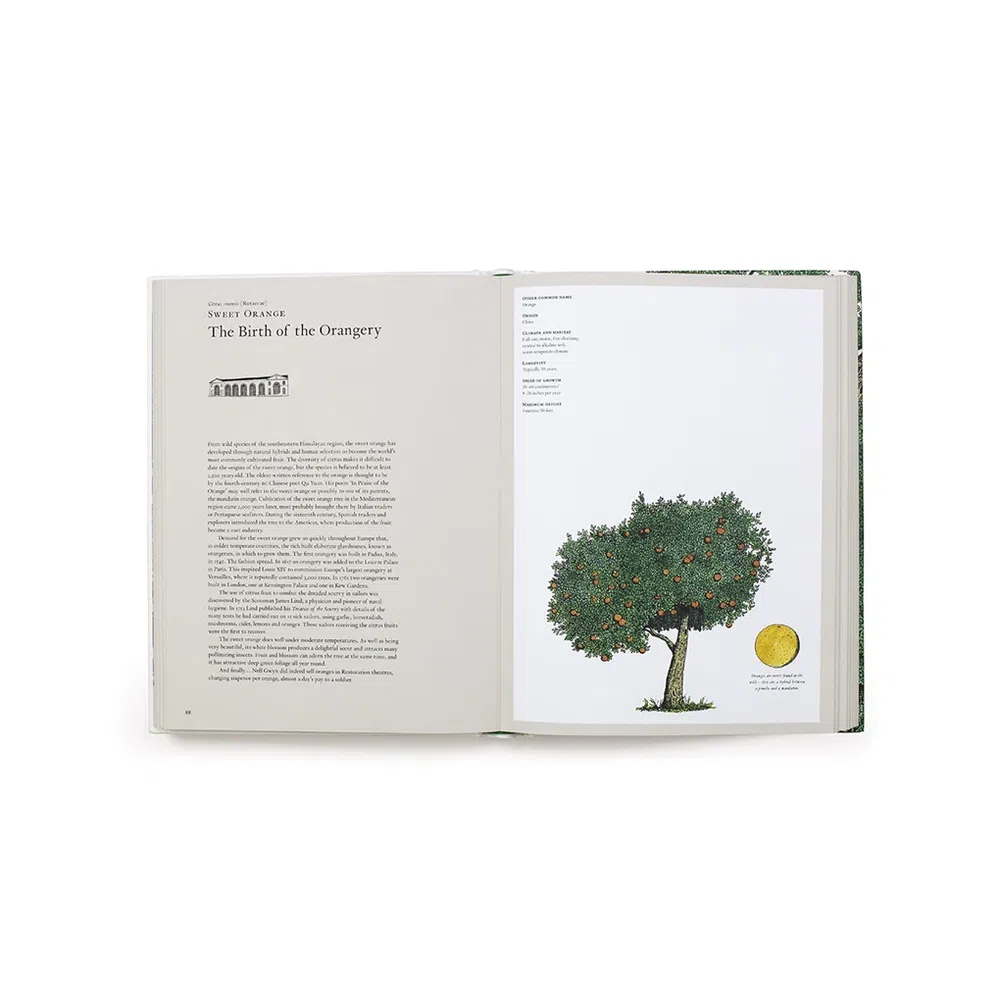 The Story of Trees