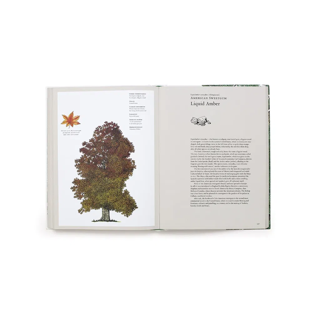 The Story of Trees