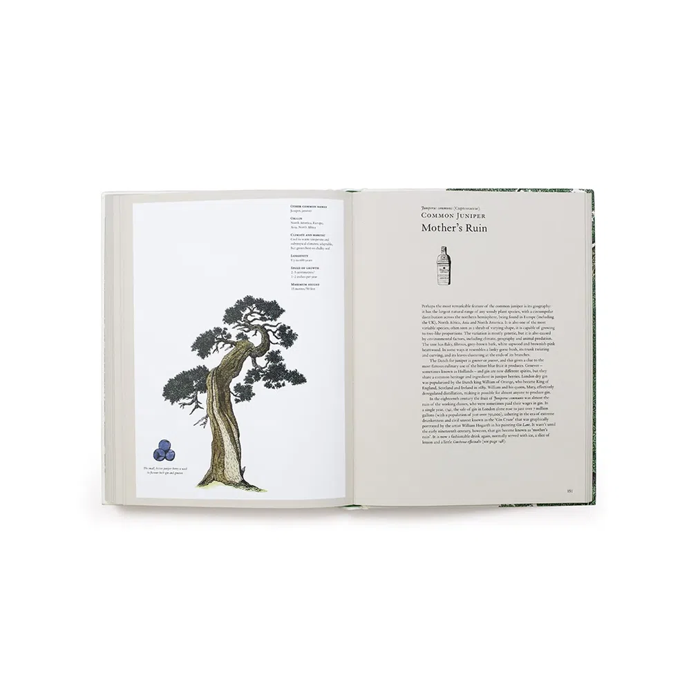 The Story of Trees