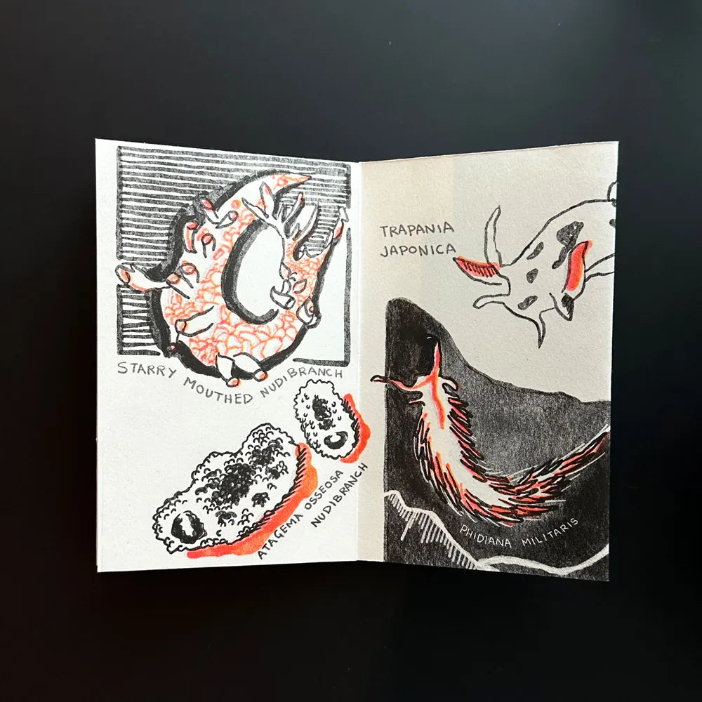 Tidal Treasure Zine