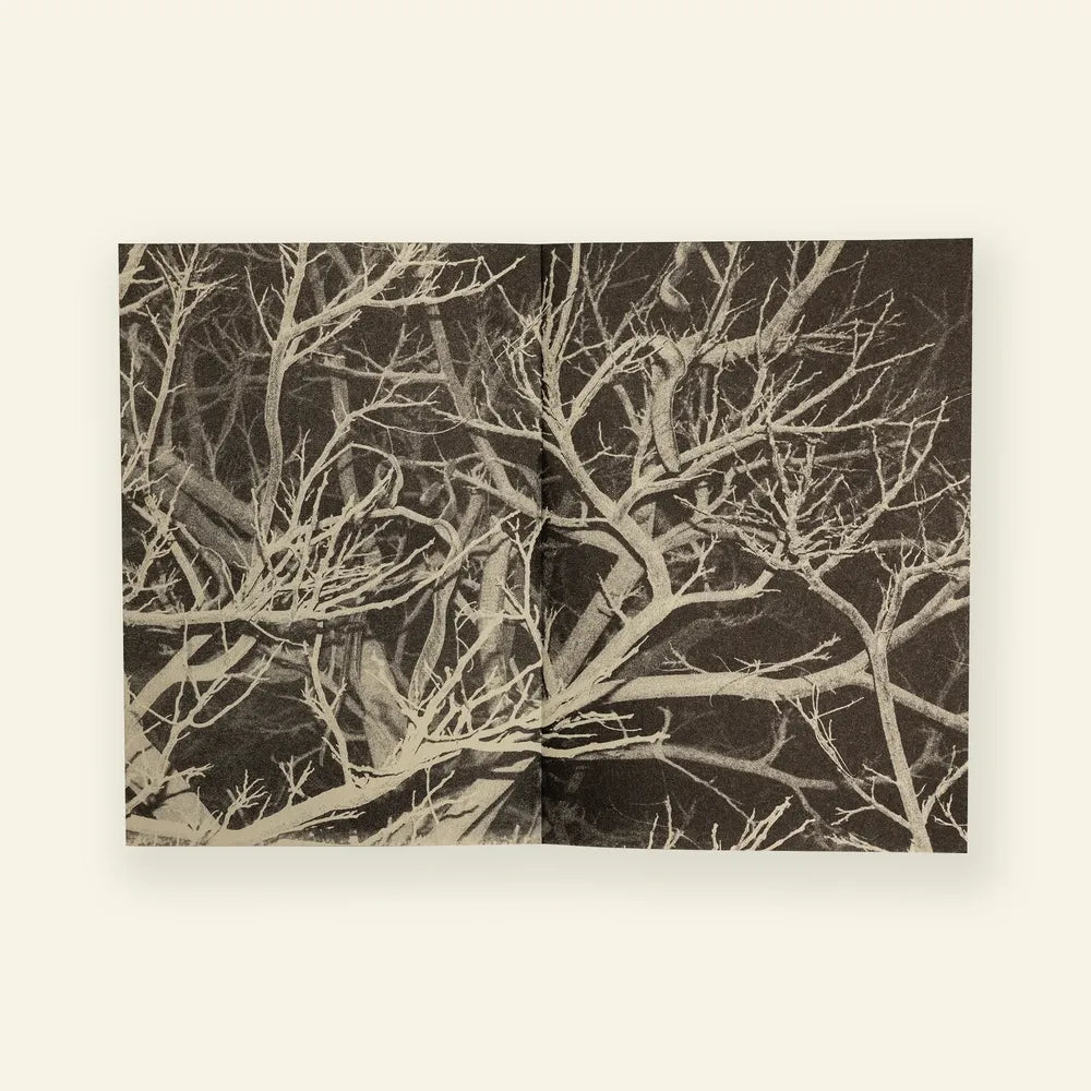 Trees at Night: A Collection of Poems