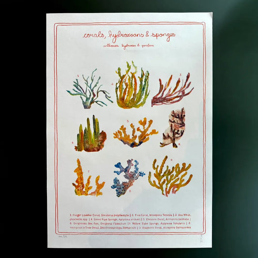 corals riso print