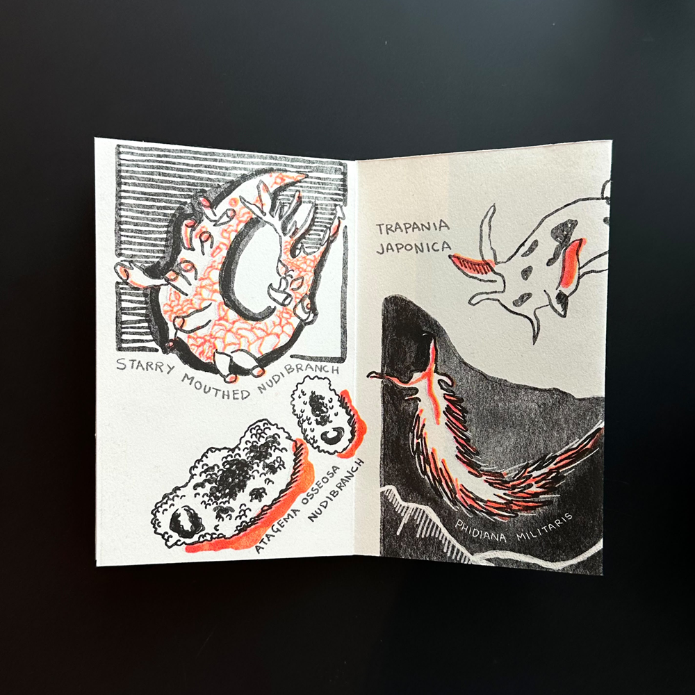 Tidal Treasure Zine