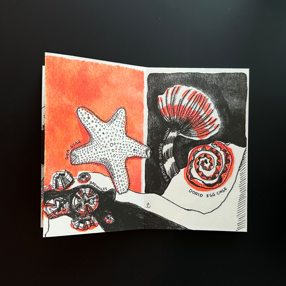 Tidal Treasure Zine